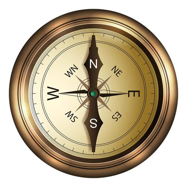 Gold colored compass pointing north and south.
